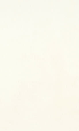 1111 Vivid White