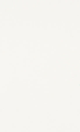 1141 Pure White
