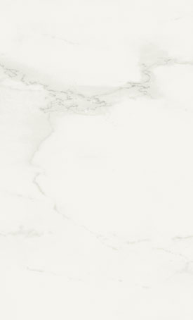 501 Snowdrift